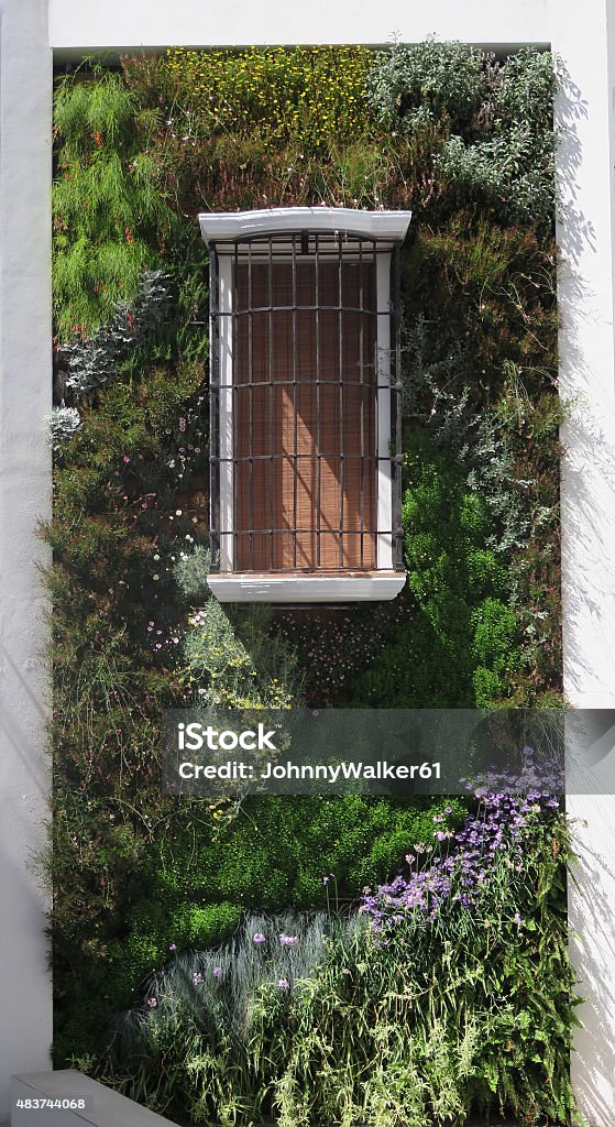 Vertical Garden Building wall with fake window and Vertical Garden in Alora, Andalucia 2015 Stock Photo