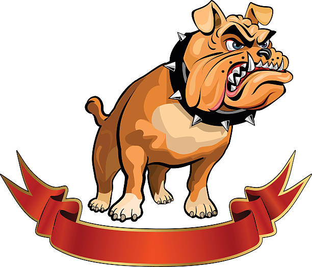 Angry Bulldog Stock Illustration - Download Image Now - Anger, Dog, Bulldog  - iStock