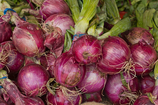 istock Red Onions Farmers Market 483744884