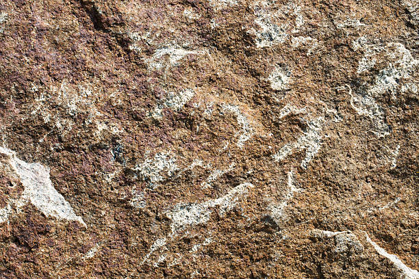 istock close up of old rock 483745302