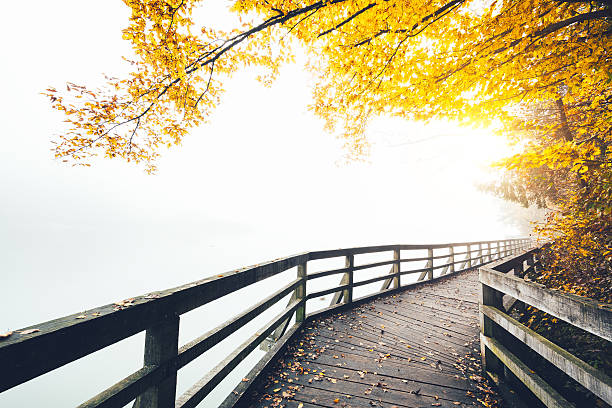 istock Wooden Path Along The Lake In Autumn 483748034