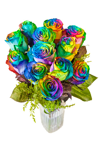 Bouquet of a dozen multicolored rainbow dyed roses against a white background.