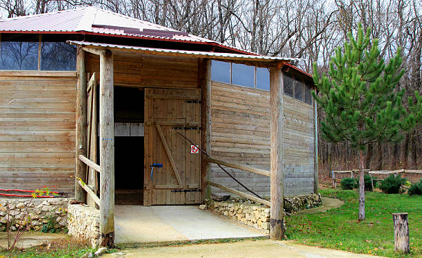 istock indoor arena for horses 483750235