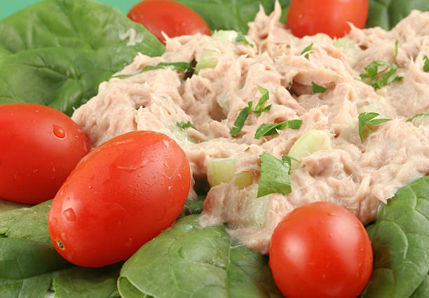 ensalada de atún de peces y espinaca - mayo mayonnaise salad plate fotografías e imágenes de stock