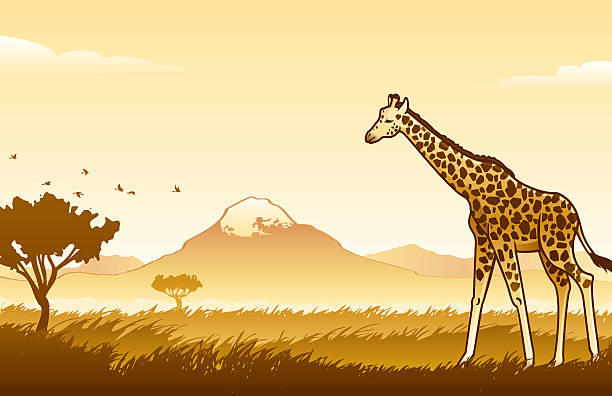 afrikanische wildnis motiv - grass nature dry tall stock-grafiken, -clipart, -cartoons und -symbole