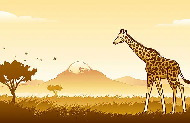 Vector illustration of African Wilderness Scene