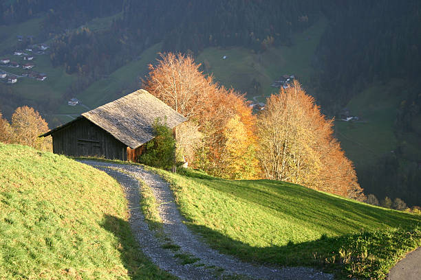 Austria - view over meadow Autumn view over an Austrian Valley. silbertal stock pictures, royalty-free photos & images