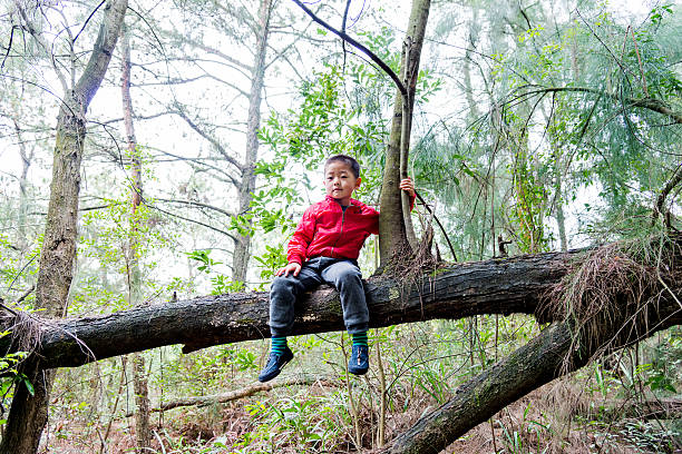 istock Little boy sitting on a branch 483752240