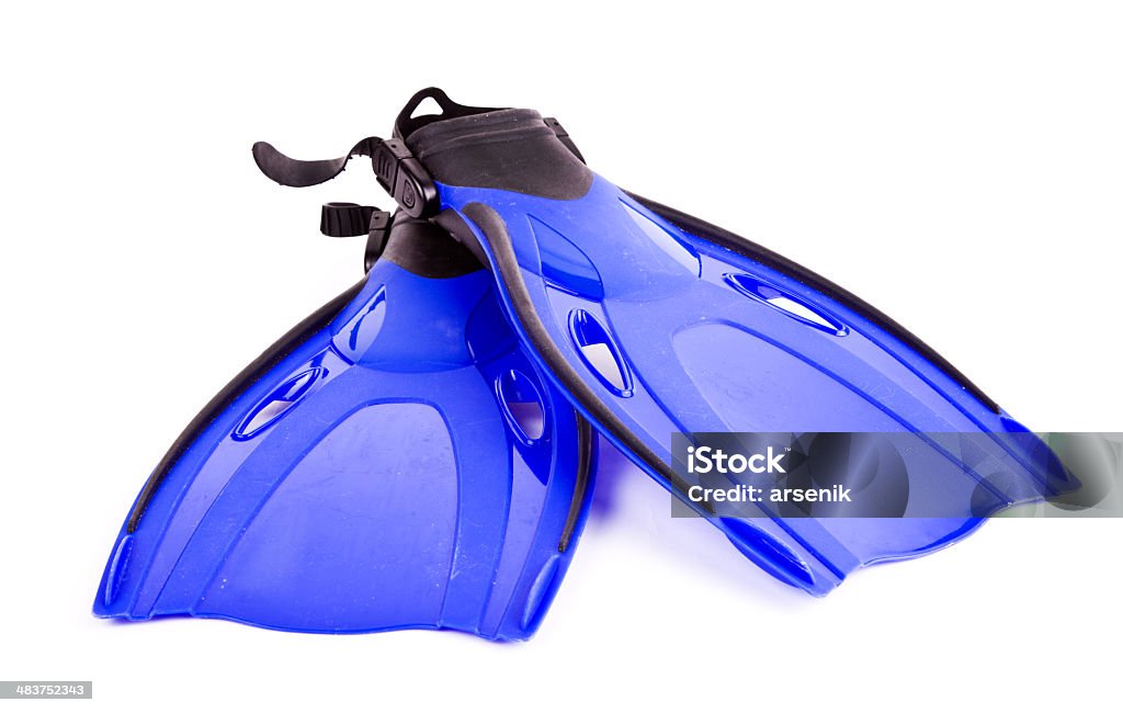 Flippers Scuba diving flippers. Adventure Stock Photo