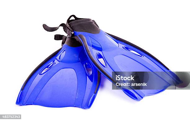 Flippers Stock Photo - Download Image Now - Adventure, Aquatic Sport, Blue