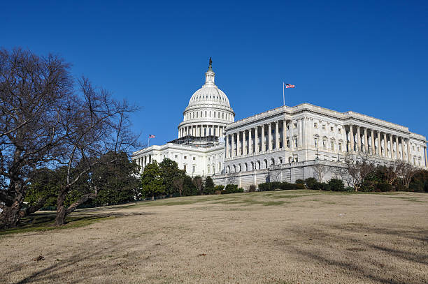 istock Capitol Hill Building in the Winter 483752377