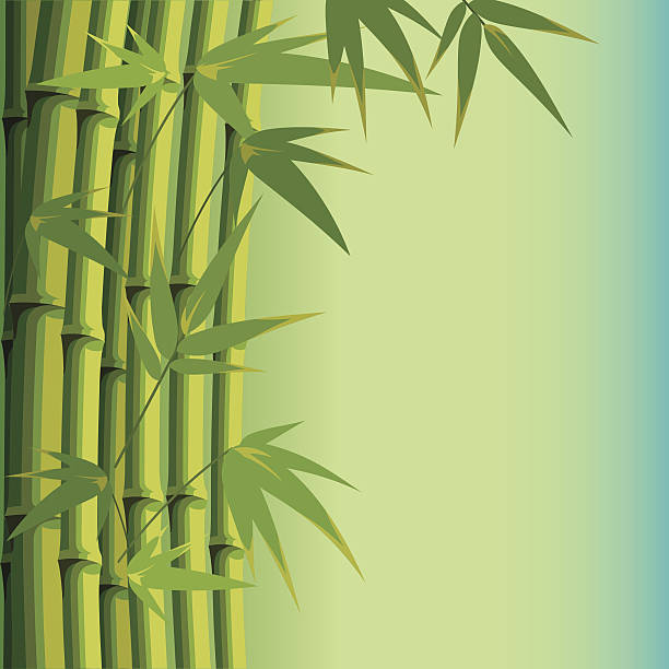 ilustraciones, imágenes clip art, dibujos animados e iconos de stock de fondo con hojas de bambú y vástagos - bamboo bamboo shoot pattern backgrounds