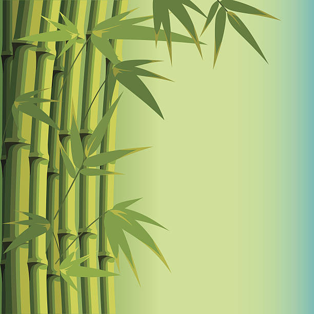 배경 대나무 잎으로 및 스템과 함께 - bamboo shoot leaf bamboo green stock illustrations