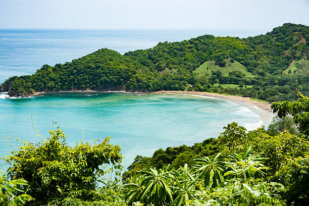 XXXL: Beautiful hidden beach surrounded by green hills and forest