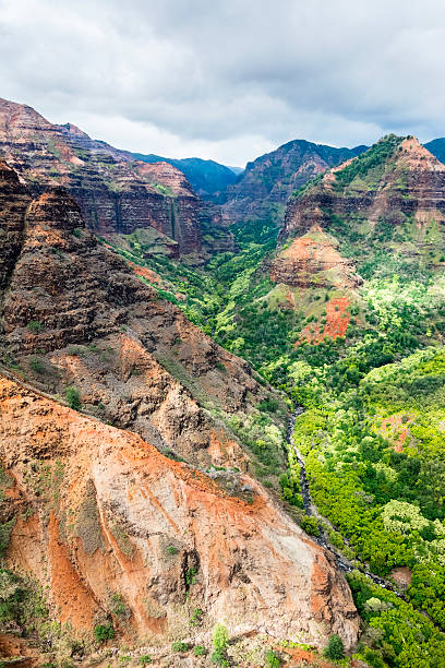 istock Waimea Canyon Overlook 483755606