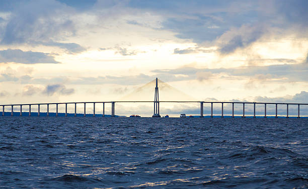 istock The Bridge in Manaus, Brazil 483755884