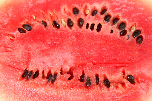 Photo showing a watermelon that has just been sliced in half, to reveal the bright red inner flesh and the rows of black pips / seeds.  Watermelons are particularly sweet and juicy, with more than 90 percent of the flesh being made up of water.