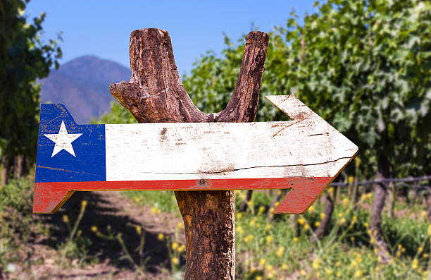 istock Chile Flag wooden sign with winery background 483759790
