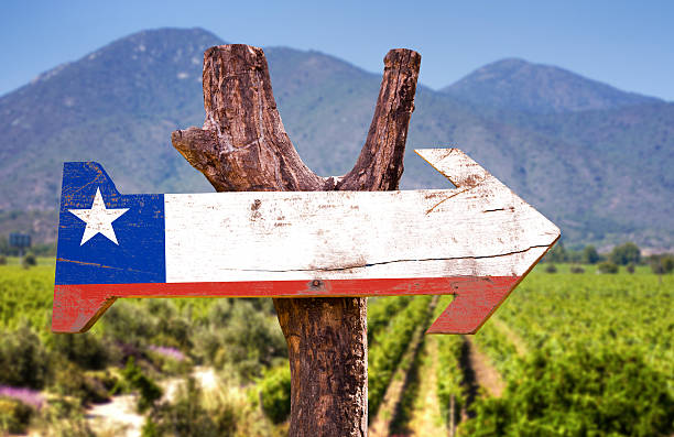 chile bandeira de placa de madeira com fundo à vinícola - wine region - fotografias e filmes do acervo