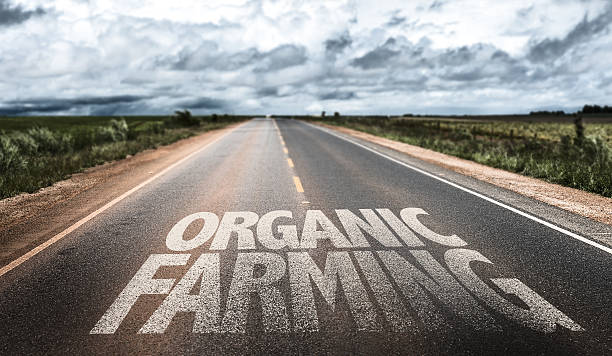 istock Organic Farming written on rural road 483760432