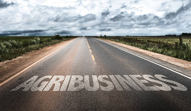 istock Agribusiness written on rural road 483763352