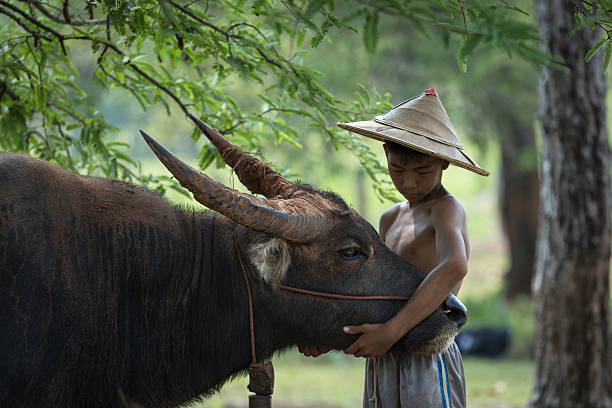 istock Children love to Buffalo 483766964