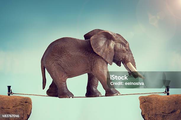 Elephant On A Tightrope Stock Photo - Download Image Now - Tightrope, Elephant, Rope