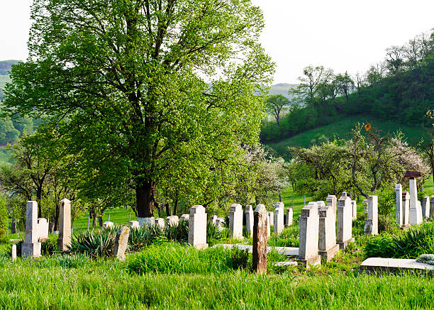 istock Countryside cemetery with green grass and trees 483767051