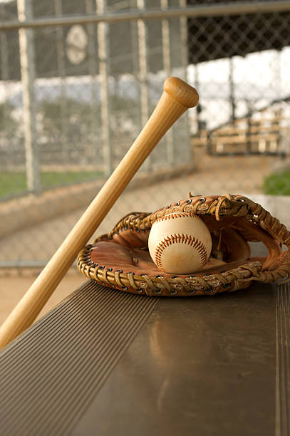 istock Baseball Bat and Glove in the Dugout 483768717