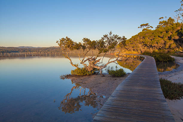 Sunset at the Merimbula Lake Boardwalk, Victoria, Australia.