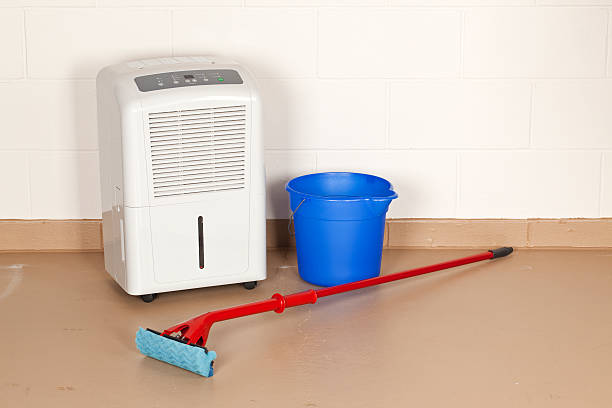 istock Basement Dehumidifier Mop and Bucket 483769036