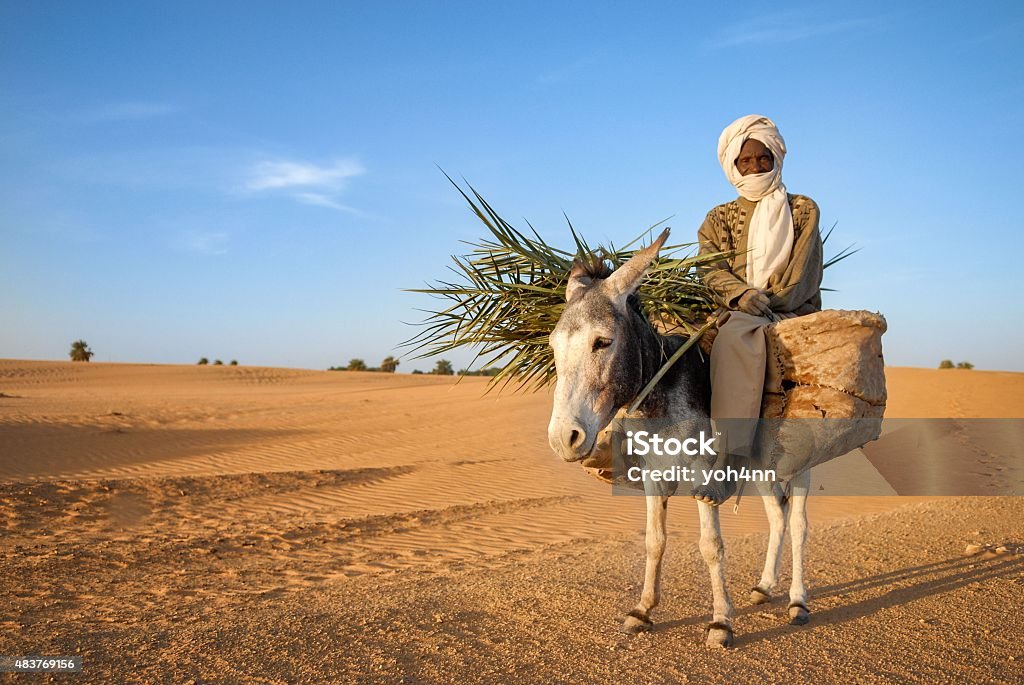 African nomad man African nomad senior having protection in face. He is crossing the dry desert and riding his donkey during warm day. Donkey Stock Photo