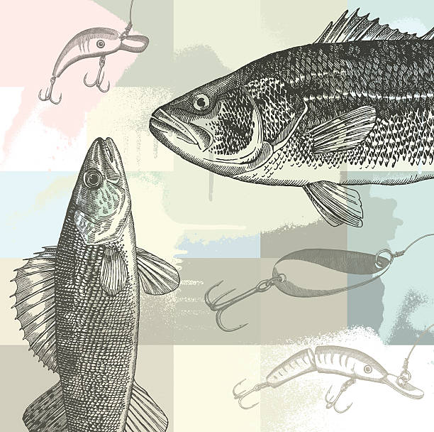 ilustraciones, imágenes clip art, dibujos animados e iconos de stock de pesca grunge diseño - rockfish
