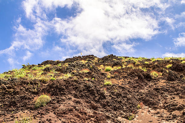 istock Vesuvius, Naples, Italy 483769615