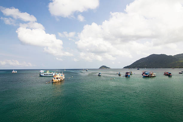 istock Large group of sail boats in a 483769929