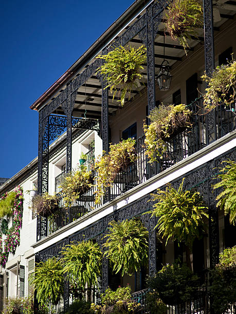 istock French Quarter in New Orleans 483770035