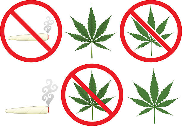Marijuana Vector illustration of marijuana: a joint, a detailed leaf and a simple (flat color) leaf, and all three marked through by a red prohibited sign. Each element is on its own layer, easily separated from the other elements in a program like Illustrator, etc. Illustration uses linear gradients. Both .ai and AI8-compatible formats are included, along with a high-res .jpg, and a high-res .png with transparent background. blunt stock illustrations