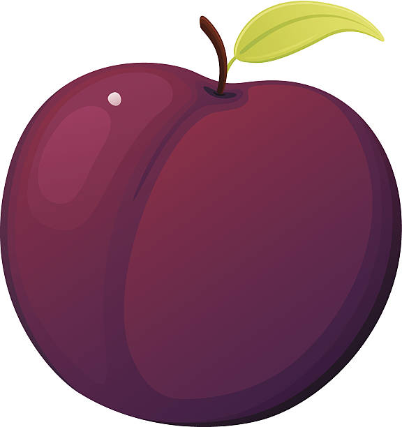 слива - plum stock illustrations