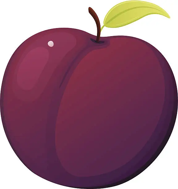 Vector illustration of Plum