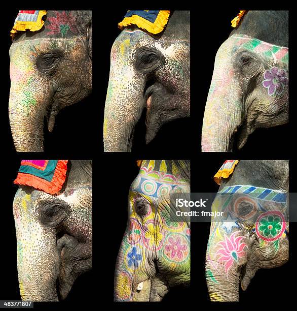 Indian Elephants Stock Photo - Download Image Now - Amber Palace - Jaipur, Animal Body Part, Animal Head