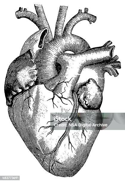 Ilustración de Corazón Aislado En Blanco y más Vectores Libres de Derechos de Ilustración - Ilustración, Corazón humano, Retro
