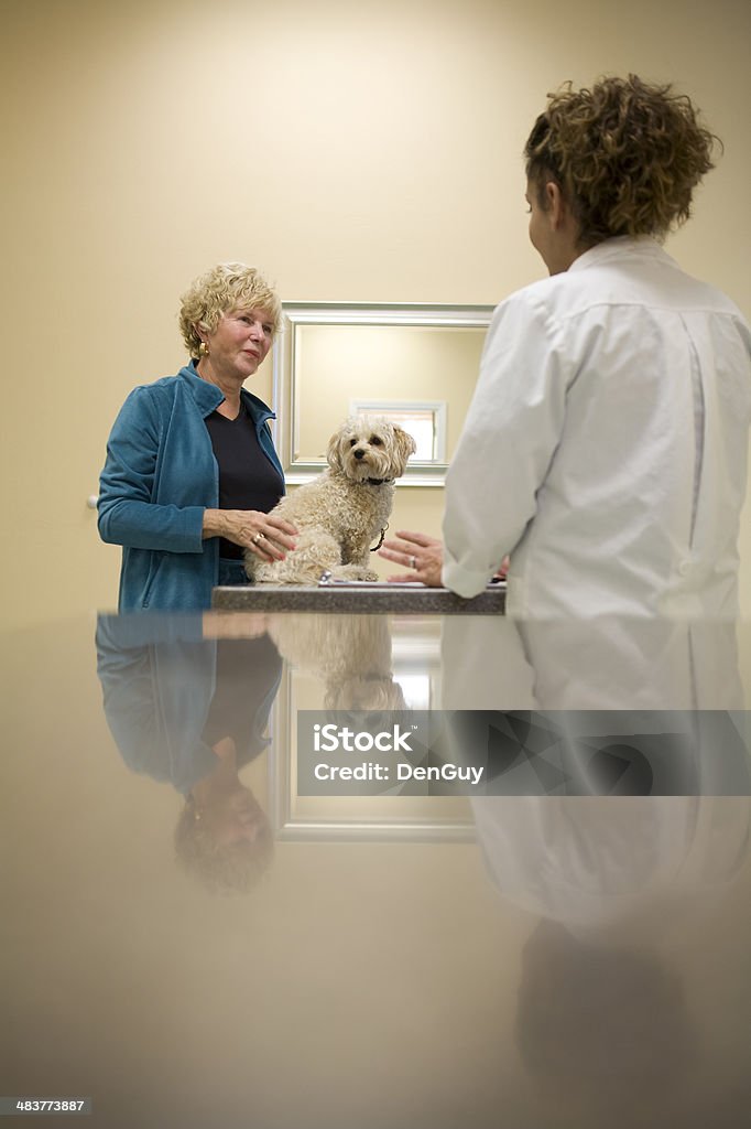 Vétérinaire parle aux clients sur les Options de soins pour chien adoré - Photo de Chien libre de droits