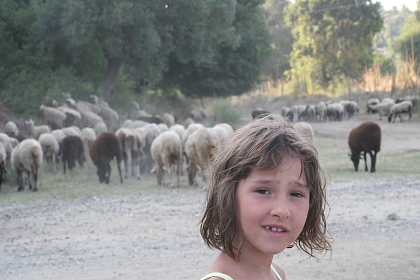 istock Young girl with sheep 483774620