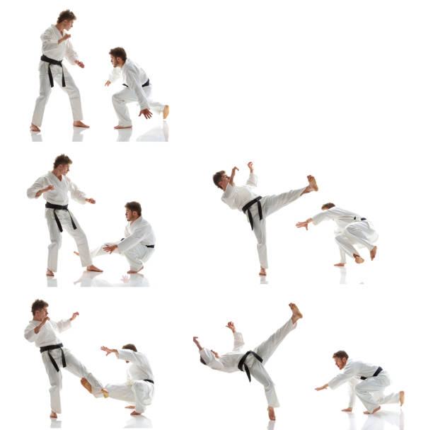 Martial arts players in actionhttp://www.twodozendesign.info/i/1.png
