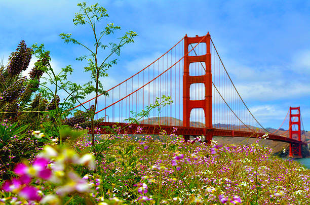 istock Golden Gate Bridge in San Francisco - CA 483779436