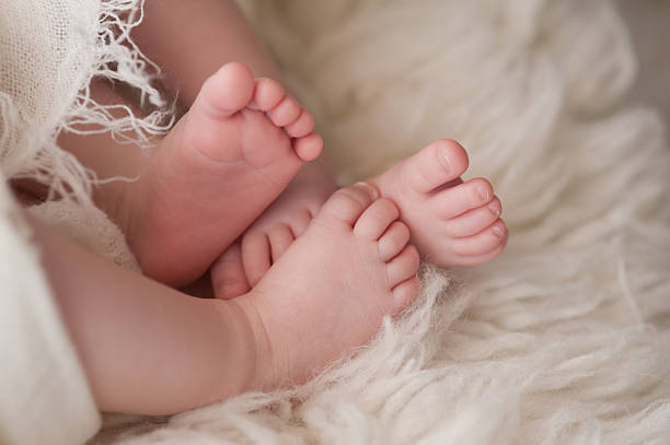Feet of Twin Baby Girls A closeup shot of the feet of twin girl babies. Shot in the studio on a sheepskin rug. twin stock pictures, royalty-free photos & images