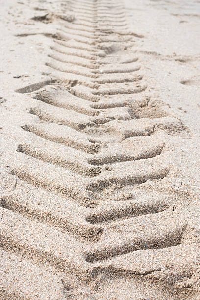 istock Tracks on the golden sand 483781102