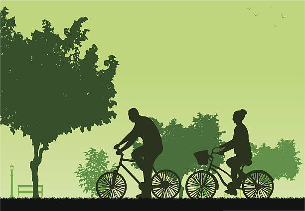 Couple bike ride in park in spring silhouette Couple bike ride in park in spring silhouette, one in the series of similar images. Layered vector illustration girl silouette forest illustration stock illustrations