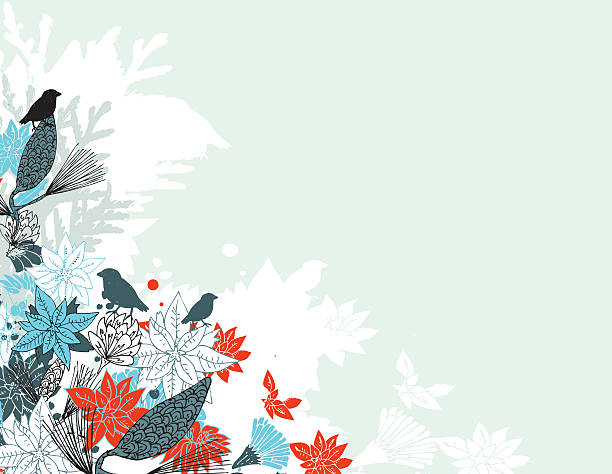 Poinsettia and birds vector art illustration