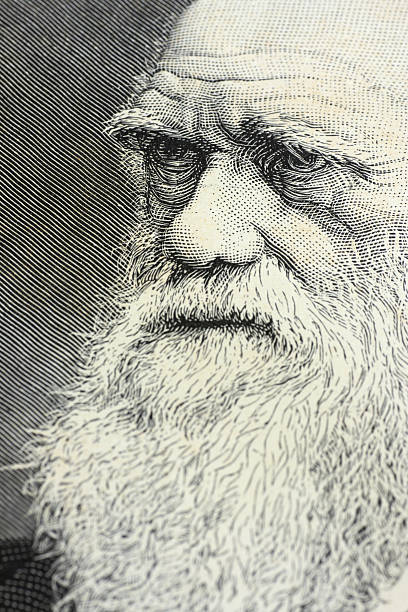 charles darwin porträt gravur - charles darwin engraved image old fashioned etching stock-fotos und bilder